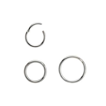 Thin Hinged Segment Ring - Nose, Helix, Tragus BHRSN
