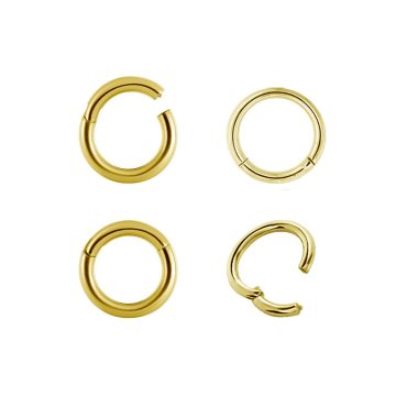 Gold PVD Hinged Segment Ring - Nose, Helix, Tragus GP-BHRS
