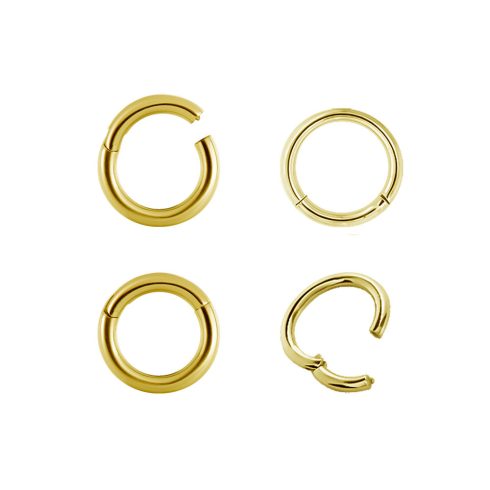 Gold PVD Hinged Segment Ring - Nose, Helix, Tragus GP-BHRS