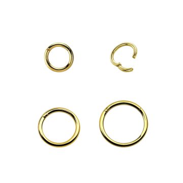   Gold PVD Thin Hinged Segment Ring - Nose, Helix, Tragus GP-BHRSN