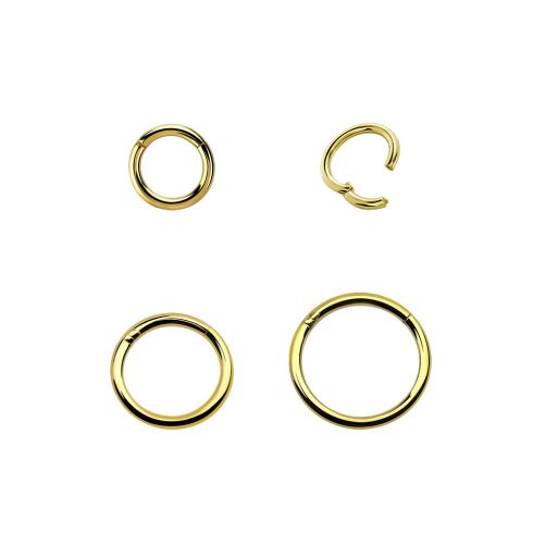 Gold PVD Thin Hinged Segment Ring - Nose, Helix, Tragus GP-BHRSN
