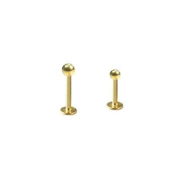 Gold plated micro labret with ball GP-BLBN