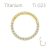 ClarityTi Or – gold PVD titanium clicker ring with CZ – 1.2 mm GP-TBJHRS