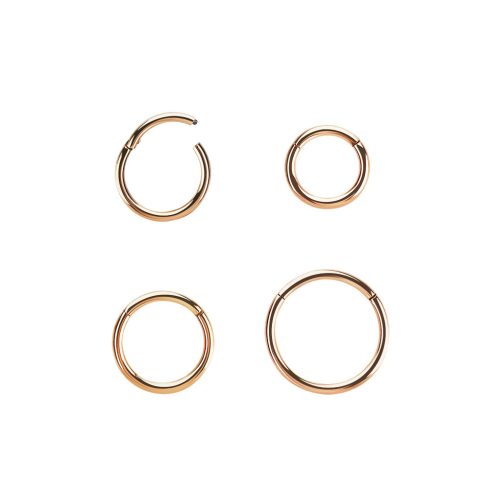 Rose Gold PVD Hinged Segment Ring - Nose, Helix, Tragus RG-BHRS