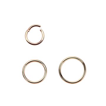   Rose Gold PVD Thin Hinged Segment Ring - Nose, Helix, Tragus RG-BHRSN
