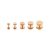 Rose Gold PVD Steel Fake Plugs RG-BRMUFP2